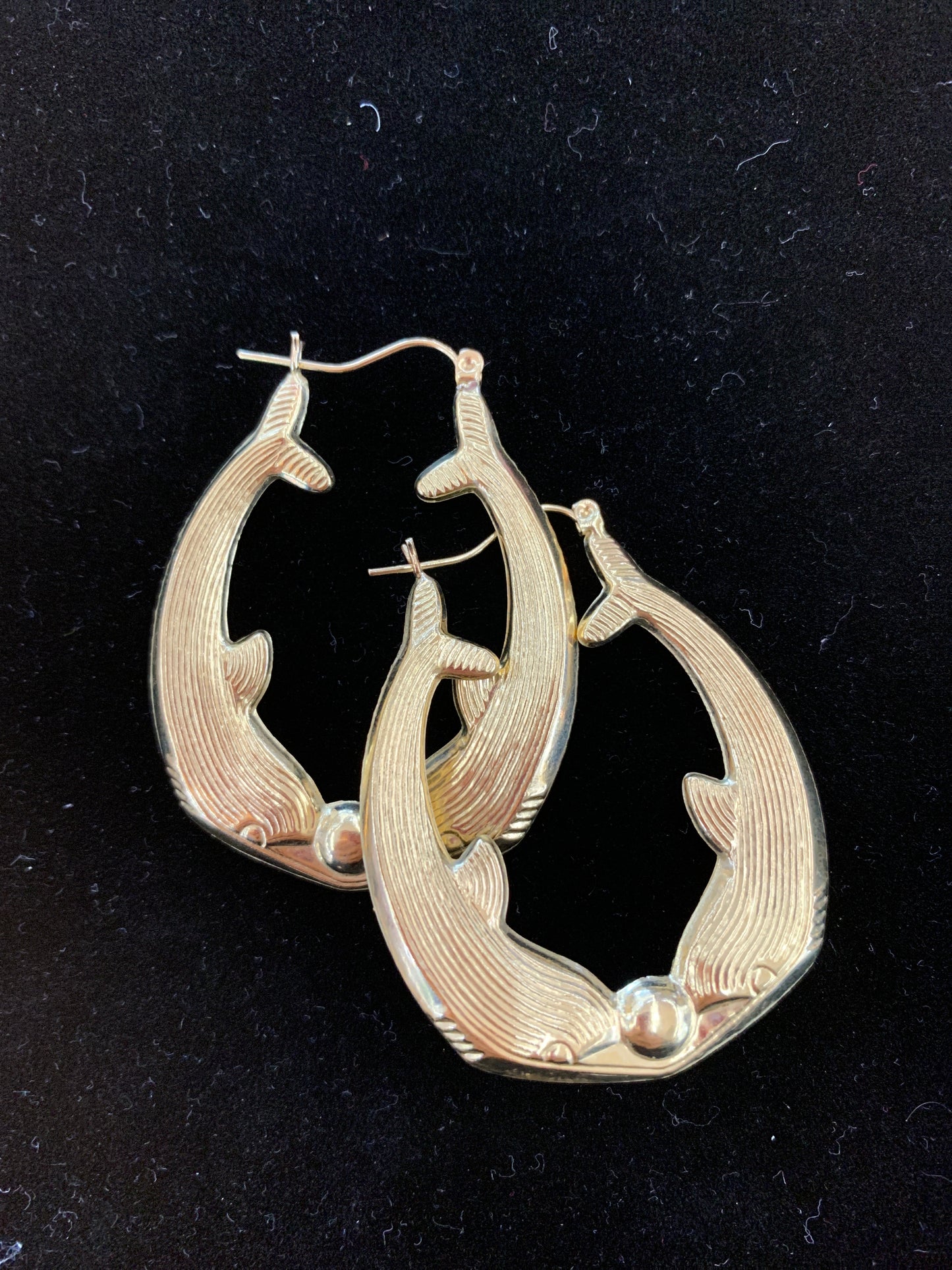 10k dolphin hoops